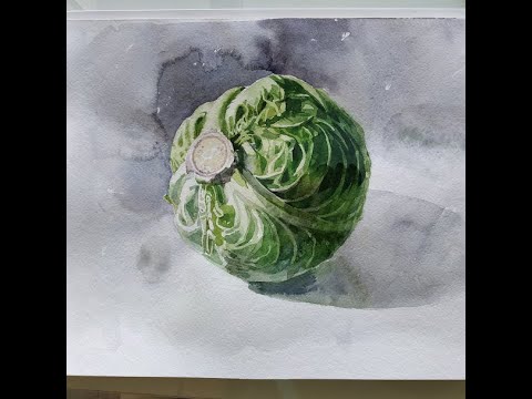 Видео: Рисунок белокачанной капусты. Акварель.