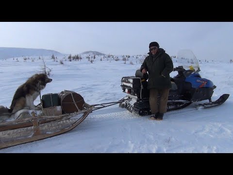 Видео: К Счастливым людям Верхоянской тайги. Часть 8. Возвращение в посёлок Саккырыр.