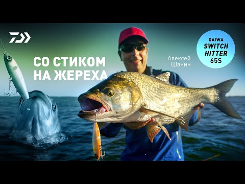 Видео: СО СТИКОМ НА ЖЕРЕХА x АЛЕКСЕЙ ШАНИН