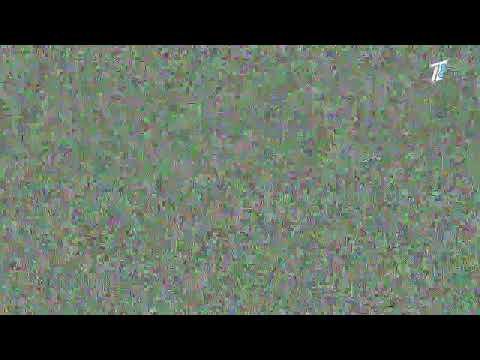 Видео: Кайырлы тан \ Доброе утро