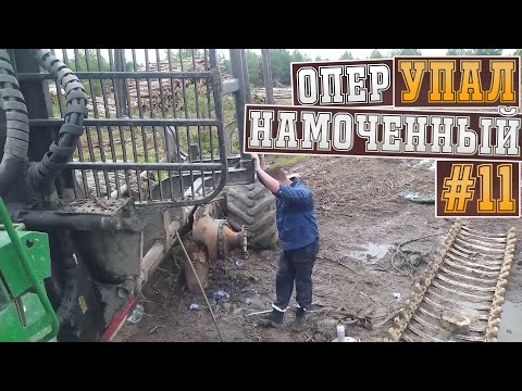 Видео: ОперУпалНамоченный. 11 серия | Logging in Russia