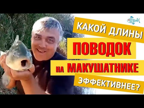 Видео: Какой длины поводок на макушатнике эффективнее? Проведем эксперимент от http://kleva.com.ua/