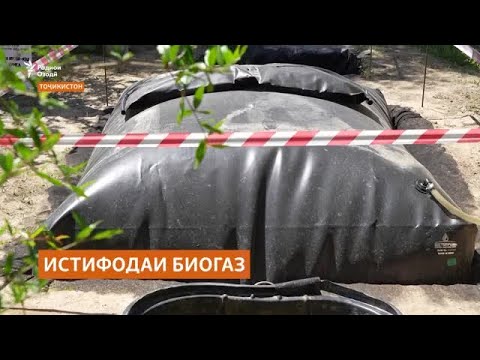 Видео: Истифодаи биогаз ё роҳи замонавии коркарди пору дар Суғд