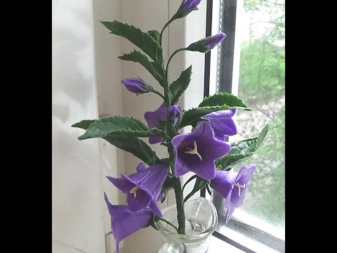 Видео: КОЛОКОЛЬЧИК ИЗ ХОЛОДНОГО ФАРФОРА (Campanula latifolia L.)