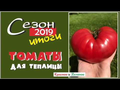 Видео: Томаты для теплицы. Самые вкусные и урожайные сорта. Сибирь. Итог сезона 2019