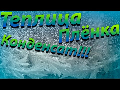 Видео: Плёнка для теплицы! Конденсат в теплице!Как избавиться от конденсата! Мороз!