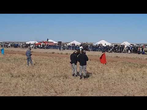Видео: Аламан бәйге 30 км Қызылқоға ауданының 80-жылдығы мерейтойы 26.09.2024 ж.