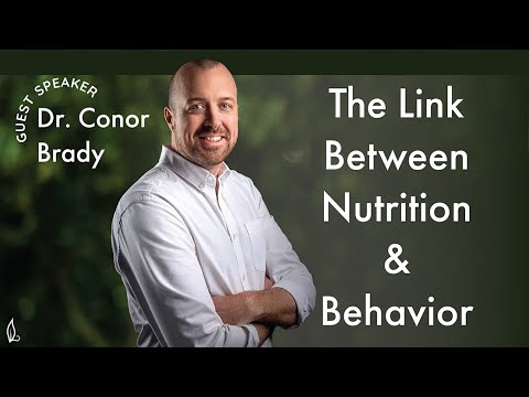 Видео: Связь между питанием и поведением