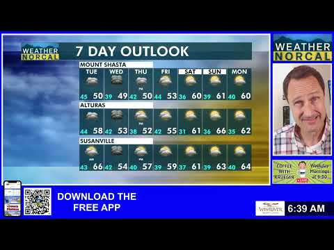 Видео: Кофе с Крюгером, вторник, 4 ноября