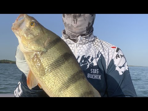 Видео: Рыбалка на Крупного окуня и не только на Веселовском водохранилище!