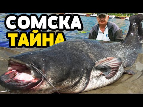 Видео: РАЗКРИВАМ ВСИЧКО ЗА СОМА С БАТ ПЕТЬО!!! СОМКАСТ
