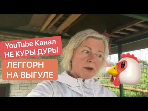 Видео: Как просто оборудовать выгул для кур