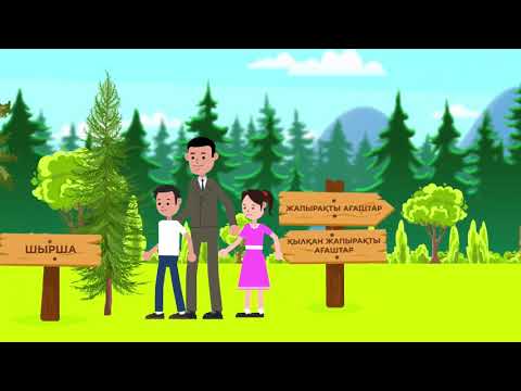 Видео: Сабақ №10. Қандай ағаштар бар?