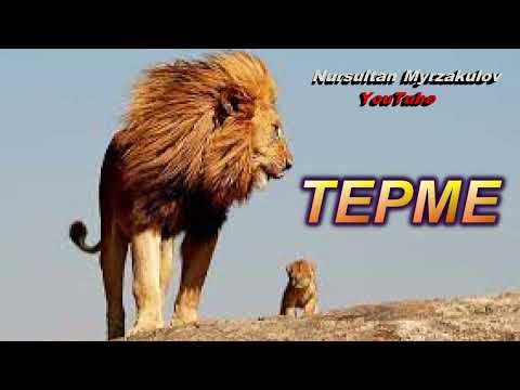 Видео: ТЕРМЕ - Патшаның ажалы