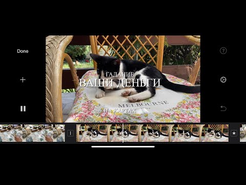 Видео: ВАШИ ДЕНЬГИ🏆ТАРО Гадание/TAROT Reading
