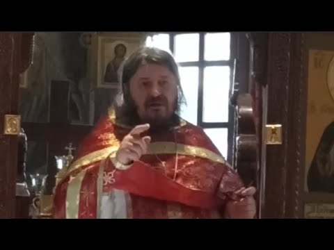 Видео: Архимандрит Хризостом (Нешић) | Јунак не може да буде онај који није кротак