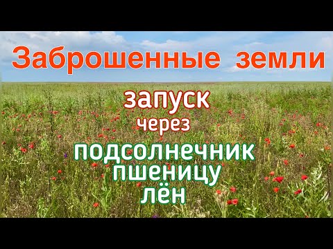 Видео: Через какие культуры запускать заброшенные земли?