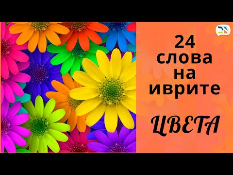 Видео: 24 слова на иврите ❀ Цвета на иврите ❀ Как выучить иврит: ЦВЕТА ❀ Изучение иврита