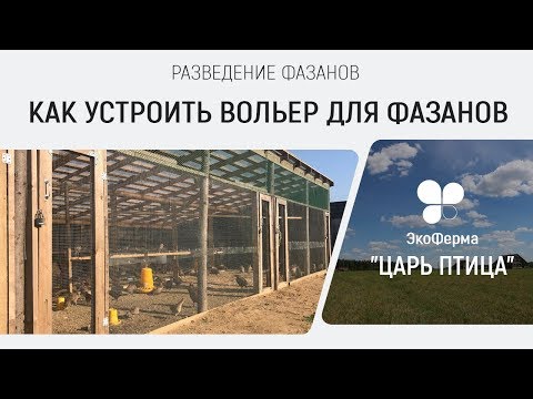 Видео: Разведение фазанов. Как устроить вольер для фазанов.