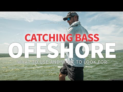 Видео: Ловля окуня в открытом море: как НАЙТИ и ПОПОЙМАТЬ окуня в открытом море!