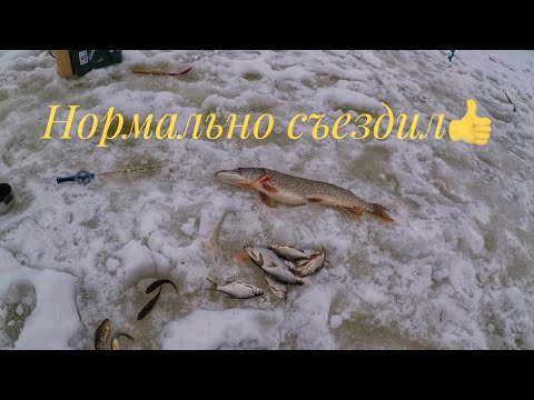 Видео: Нормально съездил на рыбалку.