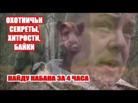 Видео: НАЙДУ КАБАНА ЗА 4 ЧАСА . КОНКУРЕНЦИЯ НА ОХОТЕ.