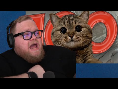 Видео: 100 Фактов О Котиках | Тоша T2X2 реакция