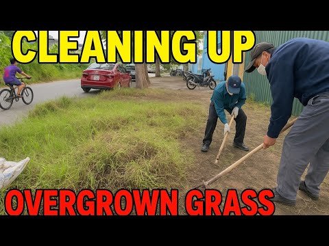 Видео: От заросшего газона до чистого тротуара🌿✨
