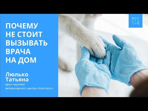 Видео: Вызов ветеринара на дом