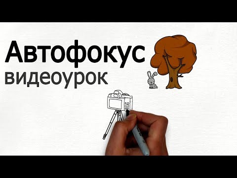 Видео: Автофокус. Видеоурок по фото