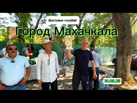 Видео: Выстовка голубей Город Махачкала 31.08.25