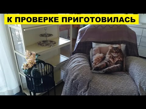 Видео: К ПРОВЕРКЕ ПРИГОТОВИЛАСЬ