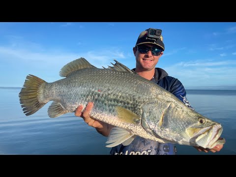 Видео: В ПОГОНЕ ЗА БОЛЬШОЙ БАРРАМУНДИ В КЕЙП-ЙОРКЕ