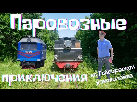 Видео: Паровозные приключения на Гайворонской УЖД