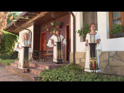 Видео: Трио „Звън” – Шекерна