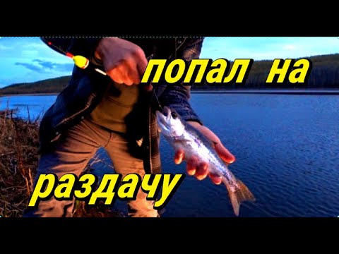 Видео: Ночная рыбалка,это ЧТО ТО . Это нужно видеть!