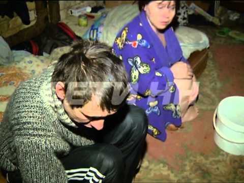 Видео: Бомжи застелили подвал коврами
