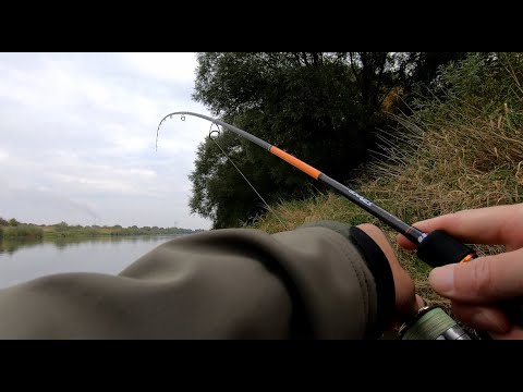 Видео: Дністер. Жерех на коливалку. Tiro.  Осінь 2021р.