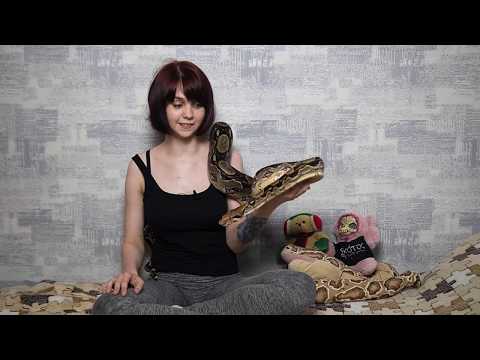 Видео: Проблемы содержания змей