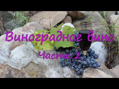 Видео: Виноградное вино. Часть 2. Технология брожения.