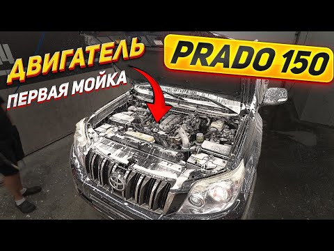 Видео: 14-ти летний Toyota Land Cruiser Prado! Один из самый живучих автомобилей! #ОТМЫЛИ