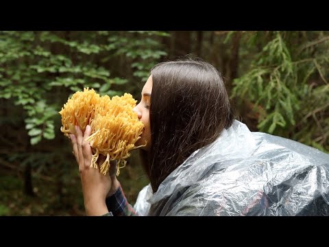 Видео: Бушкрафт Кемпинг: сбор и приготовление диких грибов | Укрытие с костром в Каменной Пещере