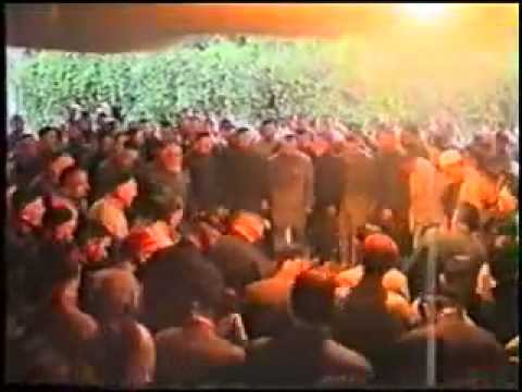 Видео: Саламбек