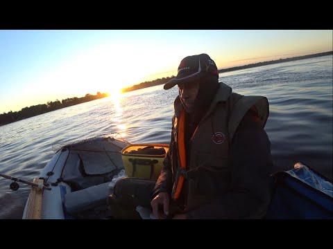 Видео: Только закормился и поклёвки не заставили себя долго ждать. Рыбалка на бортовые удочки