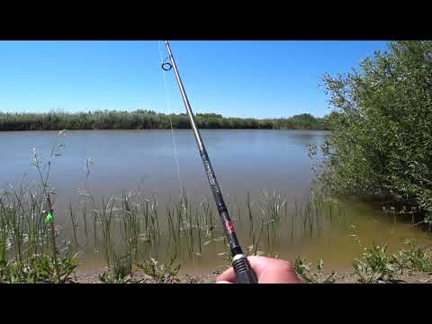 Видео: Судак на закидушку рабочий монтаж.