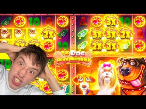 Видео: КУПИЛ БОНУСКУ ALL IN И ПОНЕСЛАСЬ!/THE DOG HOUSE MULTIHOLD ВКУСНО ЗАНОСИТ!