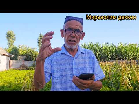 Видео: Жавоблар.   2.