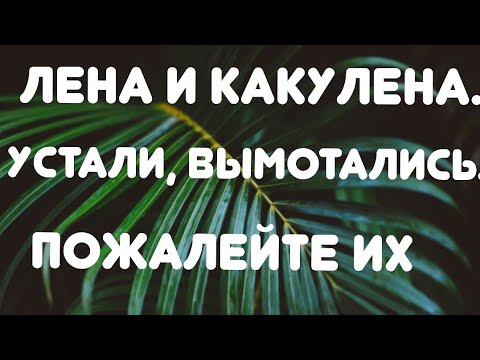 Видео: Лена и Какулена// Устали, вымотались. Пожалейте их. //Обзор видео и стрима//