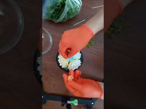 Видео: мини букет из мыла в большом куполе. мыловарение. мыло ручной работы.