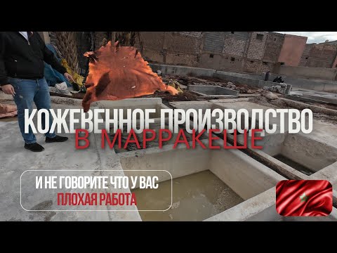 Видео: КОЖА. Адские условия труда или культура Марокко?
